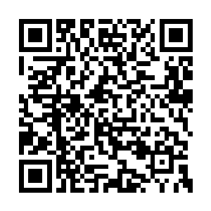 而姜氏无意当中顺带也瞧了瞧钟池画写来的书信二维码生成