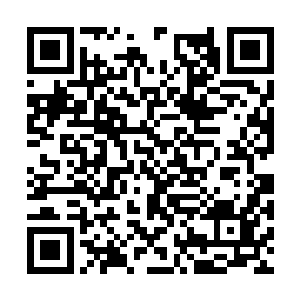 而宿主的灵魂也将会被永久的桎梏在这副躯体之中二维码生成