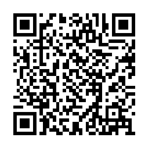 而对方自然也是实力和他相差不多的渡劫期修士二维码生成