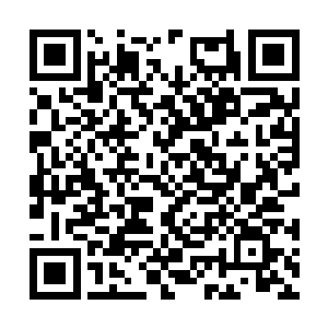 而小荷和小藕两个人也从洗手间里各拿了一个武器二维码生成