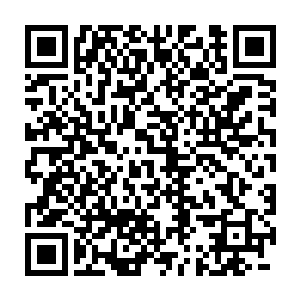 而就像青龙他们在混血之时对于纯血圣灵都充满了期待和崇拜一样二维码生成