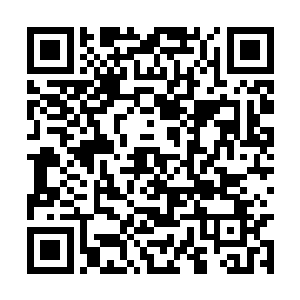 而就在五本光还打算采用这个策略的时候如法炮制二维码生成