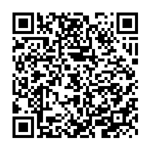 而师公和苗老汉还有大红和魏厨子这两对完全都没有醒过来的意思二维码生成