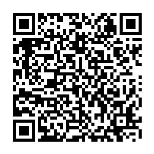 而带着家丁追出去的管家却满眼震惊的看着喜乐兄弟俩坐上有王府标示的马车二维码生成
