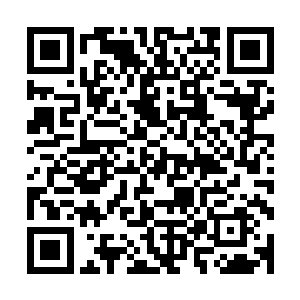 而库尔德人试图反抗引起的流血冲突也一点都不比任何地方的二维码生成
