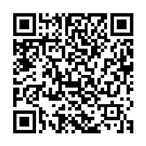 而应该是星皇和武皇这些绝代强者和那些势力深厚的神殿力量了二维码生成