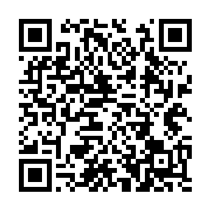 而张亮和陈富贵二人这会儿完全躲在了我们的身后二维码生成