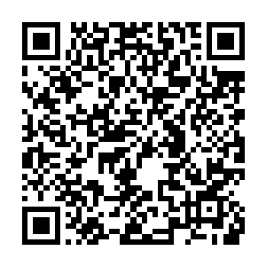 而张文斌则想起了夏云杰之前说过要介绍杨肖玫给他们认识的事情二维码生成