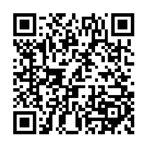 而弱小的食用型海兽则被留在海底的安全大本营二维码生成