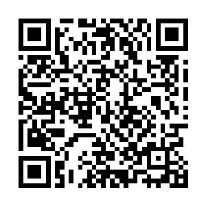 而当他们看到五毒教教主不战而逃之后更是眼睛都瞪直了二维码生成