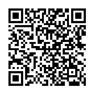 而当仙兽们带着浩浩荡荡的吃瓜群众去到管理处的时候二维码生成