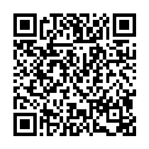 而当时挡住修罗王的正是驱修塔众人和澹台凌月二维码生成