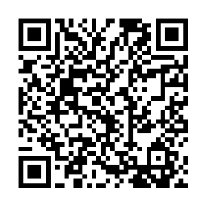 而当秦宇走出这片大地的刹那也终于是在看到了其他人二维码生成