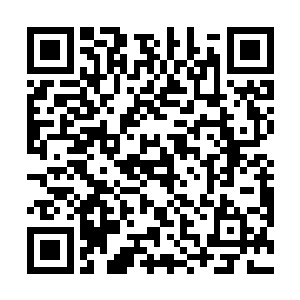 而我所知的事情……皆是从篆劼尊和奠寉王处打听到的二维码生成
