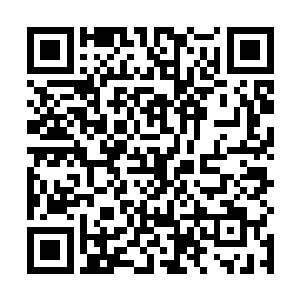 而整个社会舆论对无冕之王的谴责还在没完没了地继续二维码生成