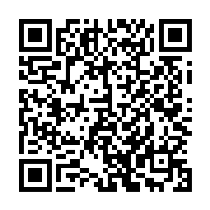 而新井利则更是时不时的和自家的拍场的员工进行眼神交流二维码生成