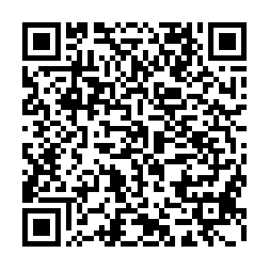 而是一名实力至少是圣皇五重天境界的十六星级强者留在他们体内的圣皇之力二维码生成