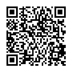 而是一本仙侠我不想单纯地把它写成一本只是升级打怪的修真文二维码生成