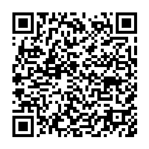 而是与儒家一直以来标榜的仁孝治国不同……若是放任叶南天如此下去二维码生成