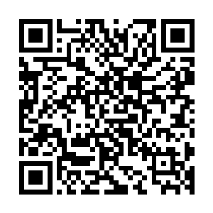 而是他们的战斗天赋和对掌握的力量发挥更加淋漓尽致的缘故二维码生成