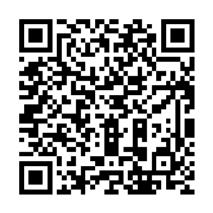 而是他要把力量用在最合适的地方最合适的时候做出正确的判断二维码生成
