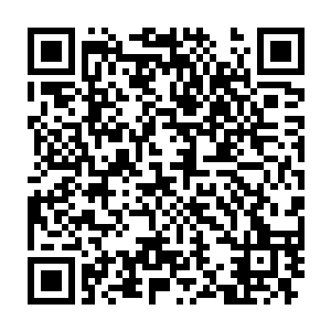 而是他那在刚刚与万能魔方所化巨剑硬拼一击而断裂的右臂伤口中二维码生成