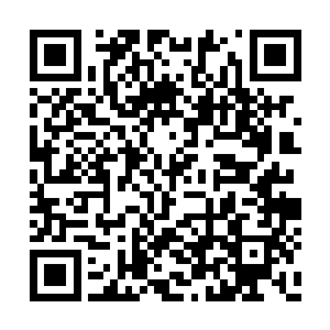 而是仿佛被一股巨大的力量给硬生生的拉了回来二维码生成