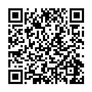 而是使用了修真中的一个比较常见的法诀甘霖普降术二维码生成