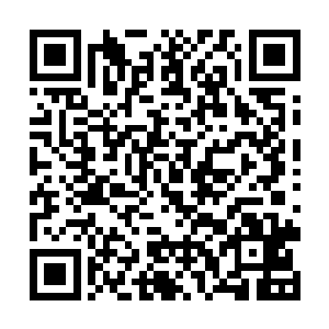 而是依然散发着浓郁的生命力量……倒也是无愧于它二维码生成