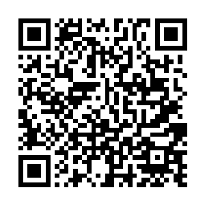 而是因为坐在它头顶的魔帅很愤怒地拍断了它的一截硬角二维码生成