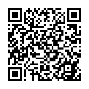 而是如青袍青年这等仗着有长辈做靠山就无法无天的二代二维码生成