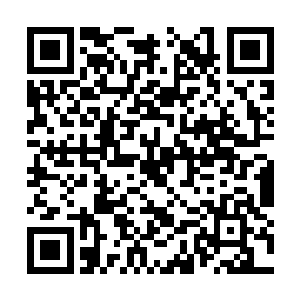 而是将旗下歌手的巡演交给专业的巡演公司来负责二维码生成