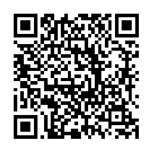 而是带着他们直接来到了那颗种满不死草的暗属性星球二维码生成