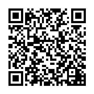 而是开始在头疼今天要如何在演唱会上保护苏紫萱了二维码生成