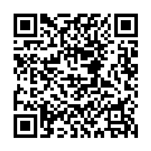 而是怎么死的问题了……而且是全家满门怎么死的问题二维码生成