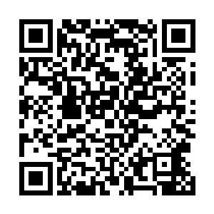 而是打算跟石乐豪以及这些门派的掌门一起前去墨海剑派二维码生成