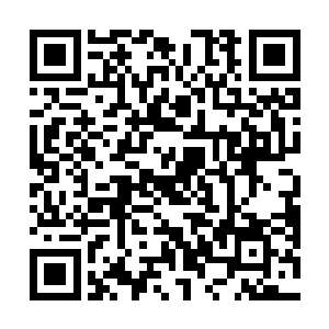 而是把所有的精神都集中到了刚刚完成转弯的两只异形二维码生成