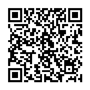 而是拿起无心童子留给他的那枚玉简细细观察了起来二维码生成