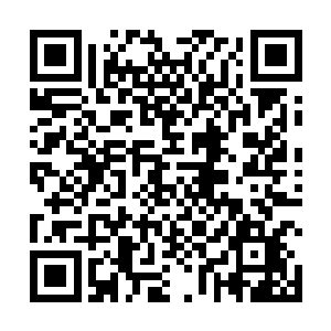 而是掏出了有容袋里的从王白露那里得到的神奇的小刀二维码生成