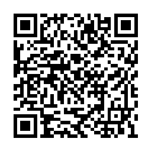 而是老老实实地守在查尔斯殿下下榻之所的门外二维码生成