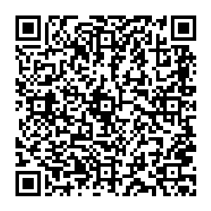 而是脸色惊疑的盯着自己面前那汇聚形成依旧模糊不清看不出到底是什么玩意的图案略微急促的开口道二维码生成