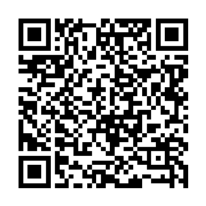 而是表示自己准备将黑水鱼底价出售给圣堂南阳分部二维码生成