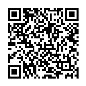 而是跑去前面继续看五大宗门的弟子比试的……只不过二维码生成