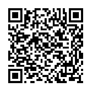 而是随便选了一个安全隐蔽的山洞开始修行起来二维码生成