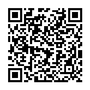 而普通的青灵一族则是用自己微末的力量施展攻击二维码生成