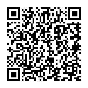 而杀死它们的有可能是一把刀子一块石头一根树枝或者几根松针――二维码生成