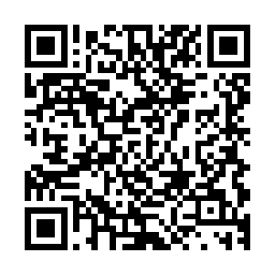 而李鸾儿则受到李连树和秦氏的请托去与李富探探裴家的意思二维码生成