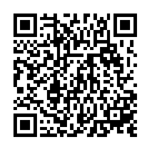 而楚仲能够找到升龙果可是凭着仔仔细细的用眼睛去查看二维码生成