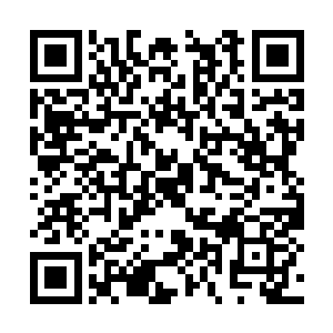 而楚旬和安琪儿这一路上只顾着注意海面下的情况二维码生成