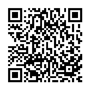而正在被噬金蚁噬咬的夜修文忽然怒吼一声合身向张潇晗扑来二维码生成